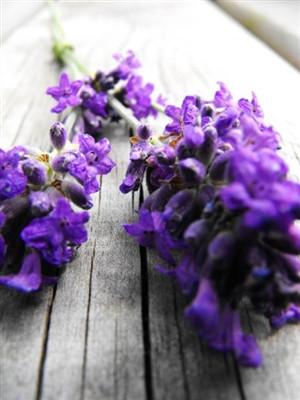 Organic Lavender Flowers 4 oz 1